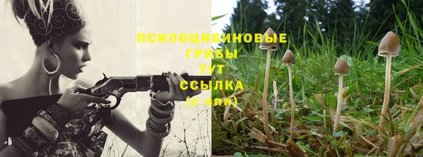 спайс Богородск